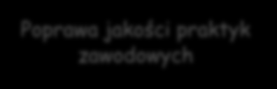 Odbiorcy/instytucje odpowiedzialne za wdrożenie: media lokalne i regionalne, Wojewódzki Urząd Pracy w Lublinie, samorządy lokalne, instytucje rynku pracy, szkoły gimnazjalne, ponadgimnazjalne i