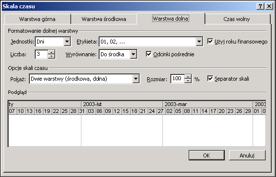 Okno dialogowe Skala czasu Skala czasu może składać się z trzech warstw. Domyślnie włączony jest widok tylko dwóch.