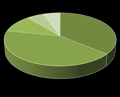 15% 11% 6% 34% Bardzo łatwo Łatwo 34% Trudno Bardzo trudno Brak odpowiedzi Wykres 17. Jak rozmawia Ci się z ojcem na trudne tematy?