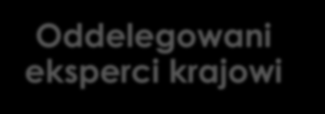 Rodzaj personelu Pracownicy kontraktowi (CAST) Pracownicy zatrudnieni za pośrednictwem agencji pracy