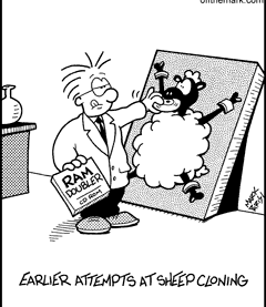 http://www.offthemark.