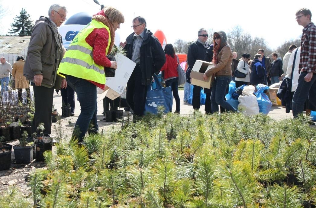 Drzewko za makulaturę W sobotę 27.04.2013 r. nasi wolontariusze pod opieką p.