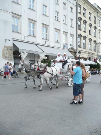 Hackney carriages Dorożki It is a big tourist attraction to go