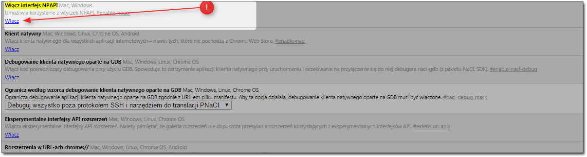 Wymagania techniczne Dokładna instrukcja postepowania znajduje się pod linkiem: https://support.google.com/chrome/answer/108086?