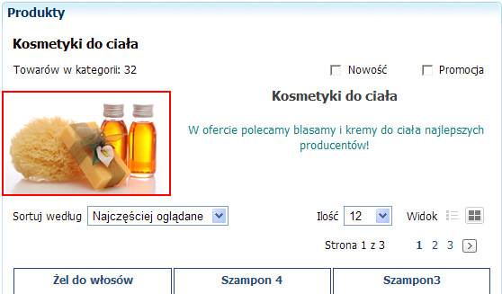 3.12 Plugin Lista produktów Obrazek grupy towarowej W wersji 6.2 umożliwiono wyświetlenie zdjęcia wybranej kategorii w pluginie Lista produktów.