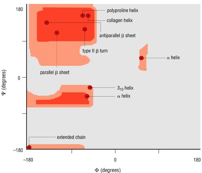 Wykres Ramachandrana Prawie we wszystkich białkach łańcuch główny