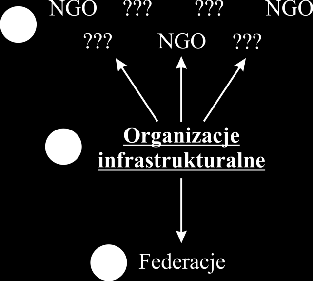 IX. Federacje i związki organizacji pozarządowych w Lublinie Schemat IX.1.