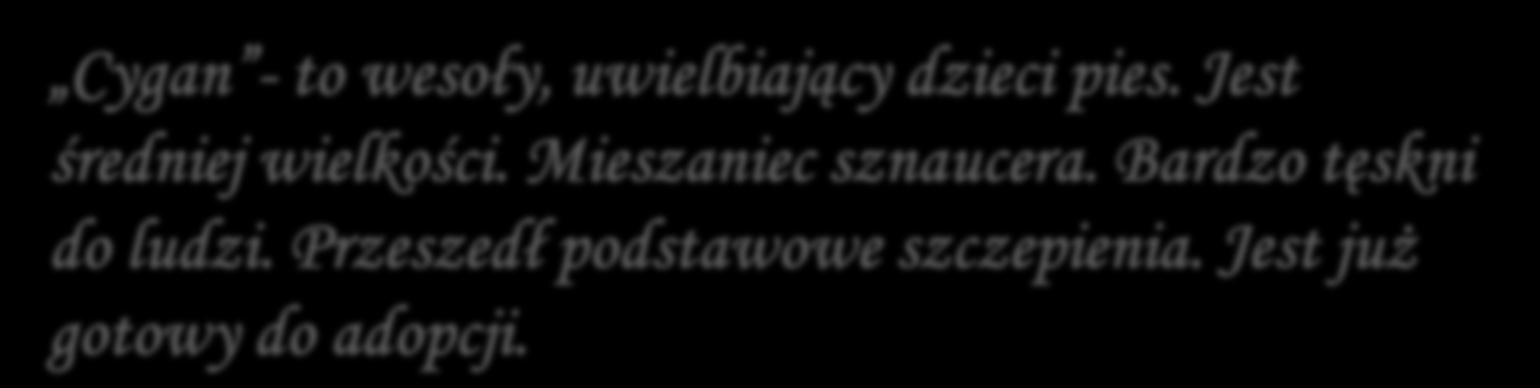 Cygan - to wesoły, uwielbiający dzieci pies. Jest średniej wielkości.