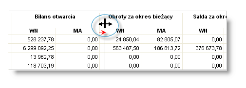 Sposób pracy z programem 4 Zestaw ienia 6 strona Okres zaległości Dopasowanie szerokości kolumn Jeśli szerokości kolumn zestawienia nie są właściwe (nie są widoczne wszystkie dane), można je zmienić