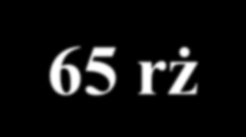 LIMIT WIEKU BIORCY Od rodzeństwa- 55-60 rż