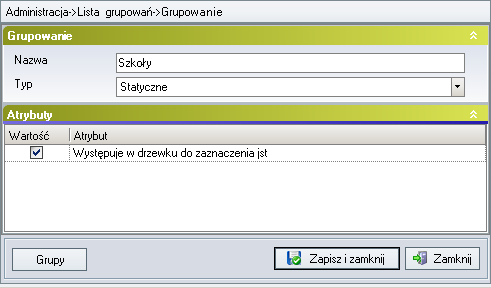 Lista wybranych grupowań jest także widoczna podczas pracy w każdym z modułów programu. Umieszczona jest w oknie Opcje dodatkowe, które znajduje się w prawej górnej części ekranu (rys. 84).