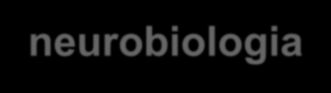 ADD / ADHD - neurobiologia ADD i ADHD są często związane z dysfunkcjami przekaźnictwa nerwowego w ośrodkowym układzie nerwowym[1,2,3].