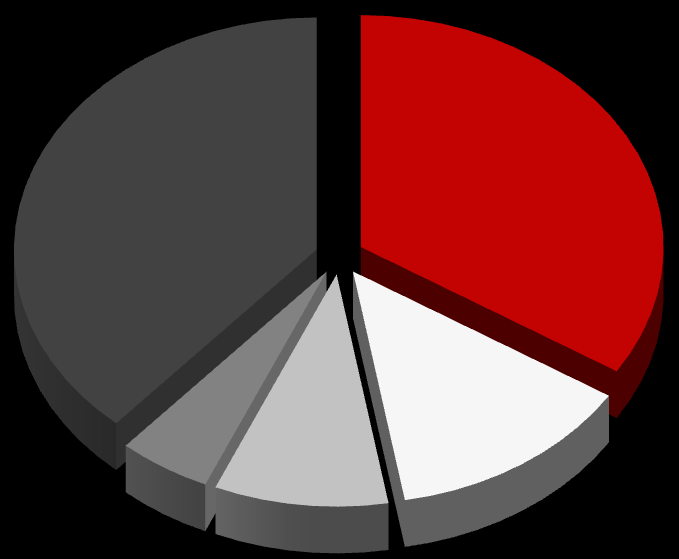 Baseny publiczne Udział w rynku basenów publicznych: ROK 2009 ROK 2010 22% 39% 34% 49%