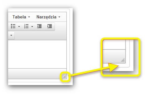 Przycisk Podgląd wyświetla dane wpisane do pola opisowego w osobnym oknie.