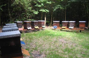 testów Przewodnik dla europejskich hodowców pszczoły miodnej Opublikowano: Kwiecień, 2015. Wersja 1.0 Dr 