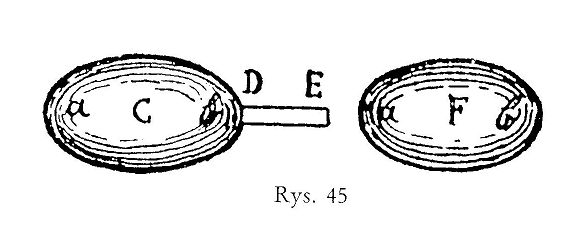 Rysunek 3. Pręciki magnetyczne zbliżone biegunami jednoimiennymi oraz indukowane pole magnetyczne w kulce.
