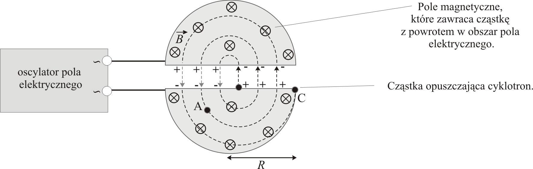 6 MATERIAŠ DIAGNOSTYCZNO - EDUKACYJNY Z FIZYKI I ASTRONOMII (R), EDUKARIS - kwiecie«2013, opracowaª Mariusz Mroczek Zadanie 2. Oddziaªywania magnetyczne (12 pkt) Informacja do zada«2.1, 2.