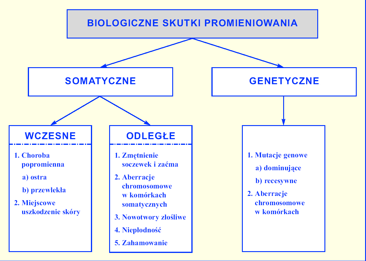 WPŁYW PROMIENIOWANIA