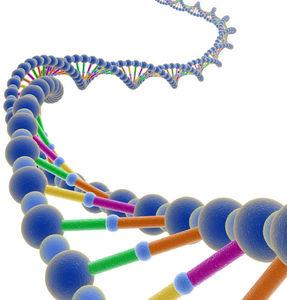 Next Generation Sequencing) - technika odczytywania sekwencji,