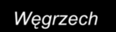 Szkolenia kierowców zawodowych Bardzo wiele szkoleń jest realizowanych niezgodnie z Dyrektywą i rozporządzeniami krajowymi (różnice dotyczą m. in.