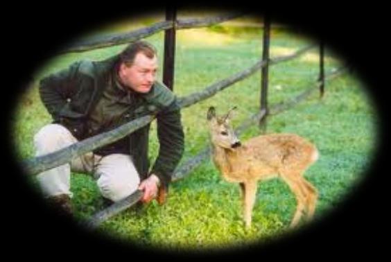 Komu zagrażają kleszcze? Kleszcze zagrażają każdemu, kto spędza aktywnie czas na łonie natury.