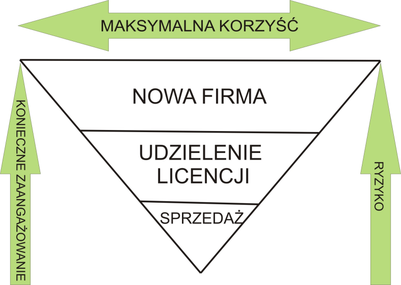 wymaga ona dodatkowo kapitału niezbędnego do uruchomienia działalności, a wiec dodatkowych udziałowców lub tez zaangażowania własnych środków. Rys. 2.