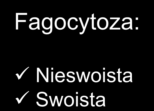 Fagocytoza