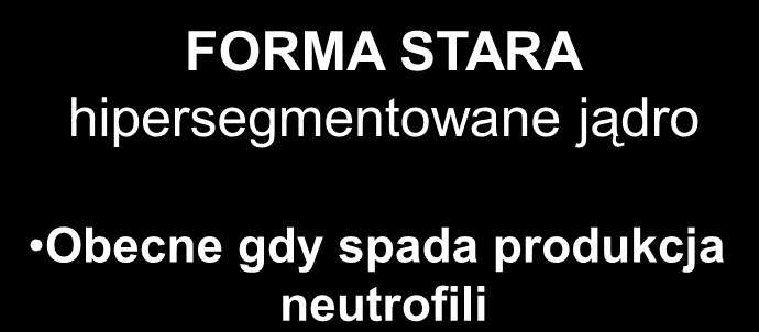 neutrofle FORMA DOJRZAŁA 3 płatowe jądro Obecne w normalnych