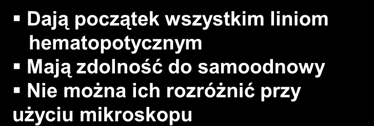 Komórki hematopoetyczne KOMÓRKI MACIERZYSTE Dają początek wszystkim liniom hematopotycznym Mają zdolność do samoodnowy Nie można ich rozróżnić przy użyciu mikroskopu KOMÓRKI PROGENITOROWE Mają