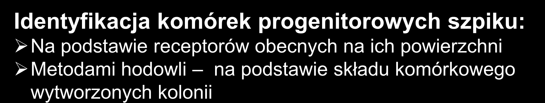 Komórki progenitorowe Identyfikacja komórek progenitorowych szpiku: Na podstawie receptorów obecnych na ich powierzchni