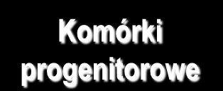 Komórki