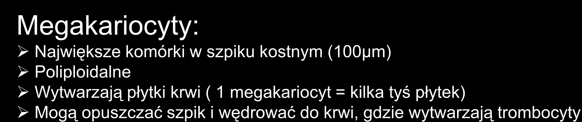 płytki krwi ( 1 megakariocyt = kilka tyś płytek) Mogą