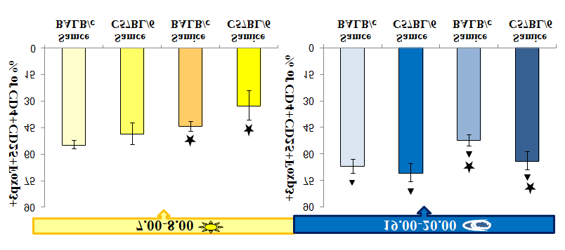 Ryc. 15 Odsetek dojrzałych tymocytów ntreg CD4+CD25+Foxp3 w populacji CD4+CD25+ w zależności od pory dnia Odsetek dojrzałych tymocytów ntreg CD4+CD25+Foxp3+ w populacji CD4+CD25+ samców i samic