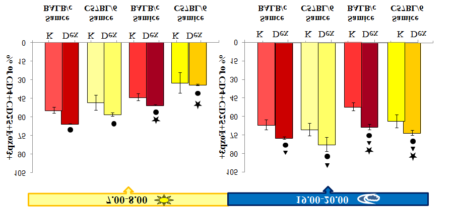 Ryc. 24 Odsetek dojrzałych tymocytów ntreg CD4+CD25+Foxp3+ w grasicach myszy traktowanych deksametazonem Odsetek tymocytów ntreg CD4+CD25+Foxp3+ w populacji CD4+CD25+ samców i samic szczepu C57BL/6