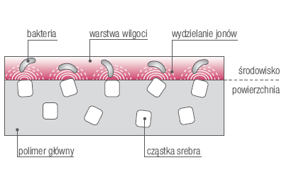 Wewnętrzna warstwa