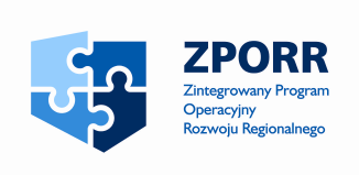 RAPORT Z BADAŃ EWALUACYJNYCH Wpływ uzyskanej dotacji ze środków Europejskiego Funduszu Rozwoju Regionalnego