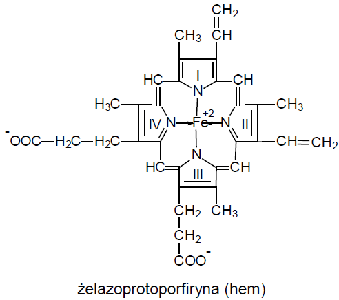 Degradacja hemu hem Atom żelaza występuje w postaci jonu żelazawego (+2) w hemach funkcjonalnej hemoglobiny, oksyhemoglobiny, mioglobiny i oksymioglobiny i tylko w tej