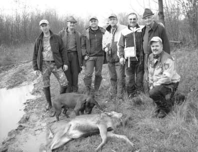 lesie za polami głoszącego posokowca. Czas się dłuży niemiłosiernie, ale w końcu dobiega do naszych uszu odgłos odległego strzału łaski.