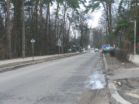 3. Projekt modernizacji terenu 3.1. Aktualny stan zagospodarowania Zieleń w ulicy Jana Pawła II w odcinku do ul.