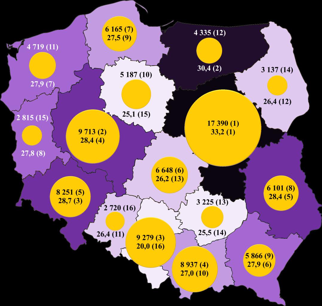 I. Organizacje pozarządowe na Lubelszczyźnie W rozdziale pierwszym przybliżone zostaną podstawowe dane statystyczne na temat trzeciego sektora na Lubelszczyźnie.