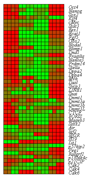 VSEL HSC MNC ESC-D3 Heat-Map Analysis for Ct Value from realtime PCR (Heatmap builder) Pluripotency Epiblast Germ-line