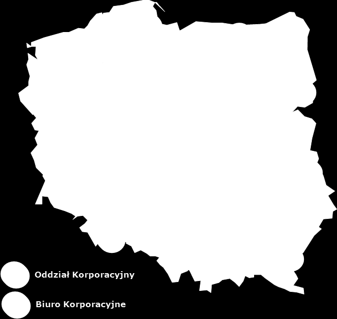 9.2. Spółki w obszarze Klienci Korporacyjni i Instytucje Oferta finansowania w formie leasingu, pożyczki oraz usługi z zakresu wynajmu i zarządzania flotą samochodową I miejsce na rynku leasingu