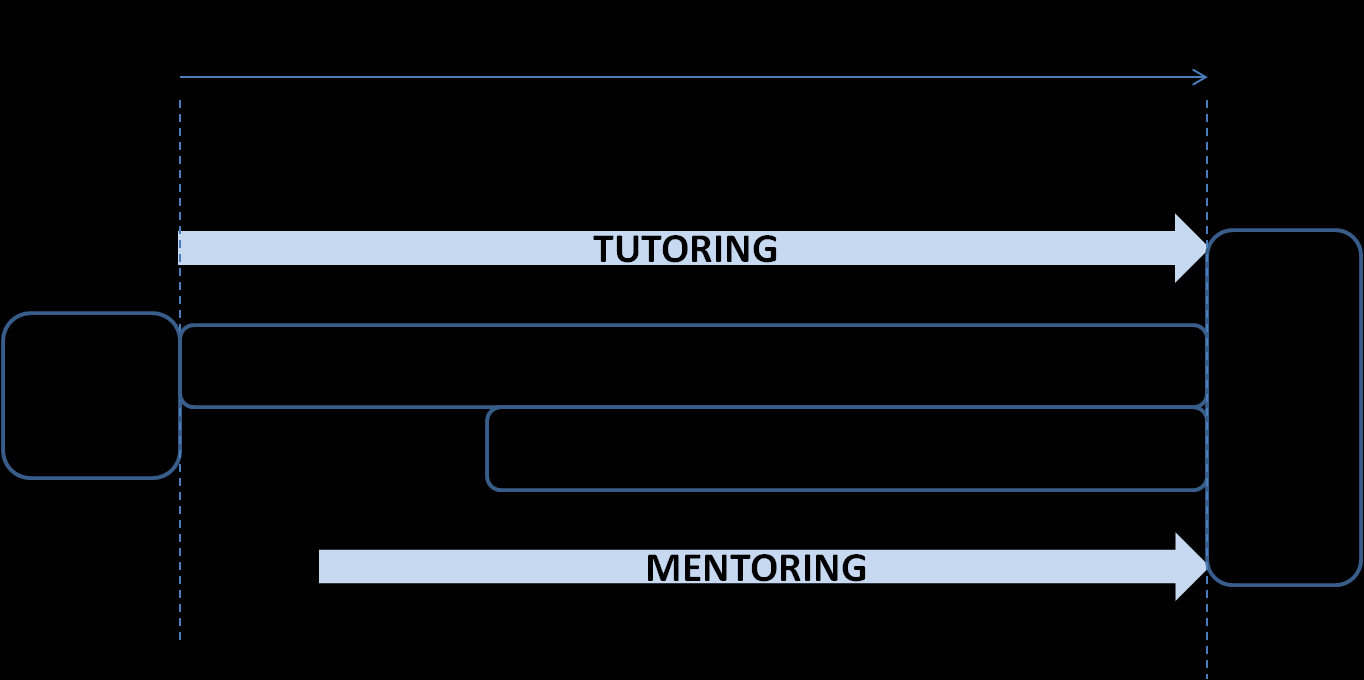 prowadzenia sesji tutoringowych i mentoringowych zostanie dokonana indywidualna diagnoza każdego z wychowanków narzędziem pod nazwą Bilans zasobów.