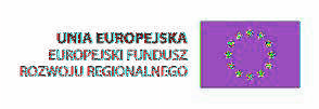 Raporty i analizy EUROREG 1(4)/2010 Polskie ministerstwa jako organizacje uczące się Karol Olejniczak, Anna Domaradzka Andrzej