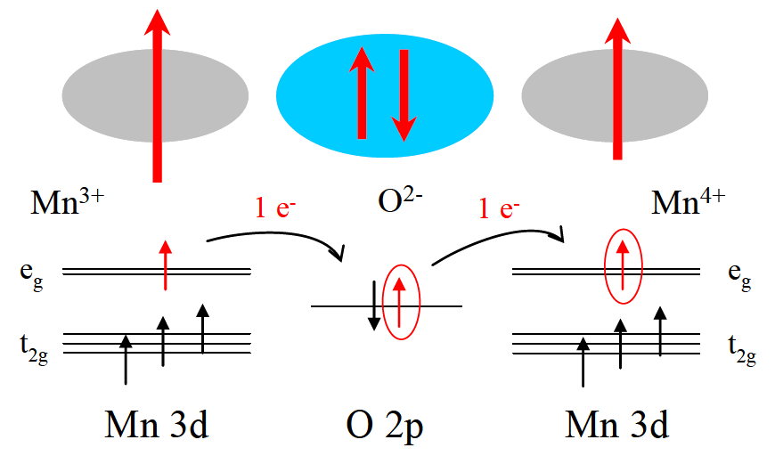 2.1.2. Oddziaływanie podwójnej wymiany Oddziaływanie wymiany podwójnej występuje w niektórych materiałach tlenkowych m.in.