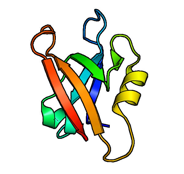 (a) (b) (c) Rysunek 4.6: (a) Superpozycja domen PDZ obliczona programem DAMA. Kolorem zielonym oznaczono aminokwasy wspólne dla wszystkich struktur.