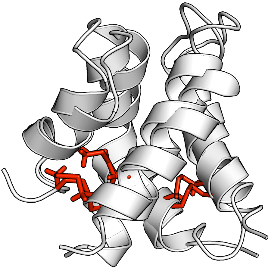 (a) (b) (c) Rysunek 3.8: (a) Domena sapozynowa NK-lizyny (kod ASTRAL d1nkla_) i (b) odpowiadająca jej spermutowana domena proteazy asparaginianowej (d1qdma1).