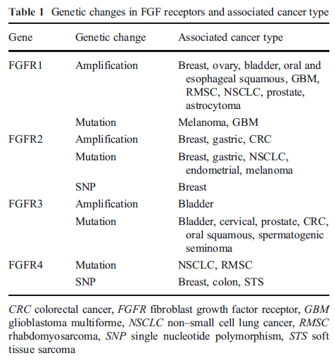 FGFR jako nowy cel molekularny Kinazy FGFR1-4 Receptory dla czynników wzrostu fibroblastów (FGF) Proliferacja, przeżycie komórek Angiogeneza,