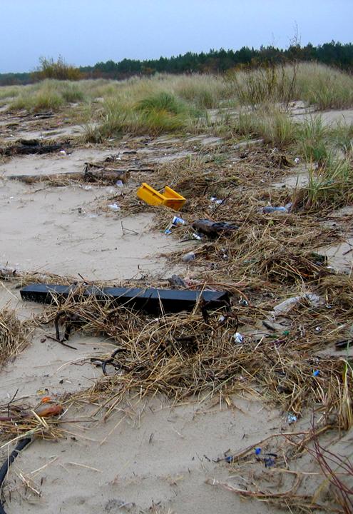 4. Nakrętki jako symbol plastikowych śmieci Skąd biorą się na plaży? - wyrzucone z falą z toni morskiej (zaśmiecone wody, np.