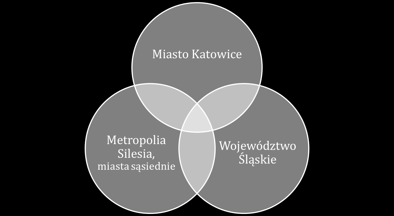 Rys. 3Podmioty współpracujące we wdrożeniu Strategii Rozwoju Sportu Rys.